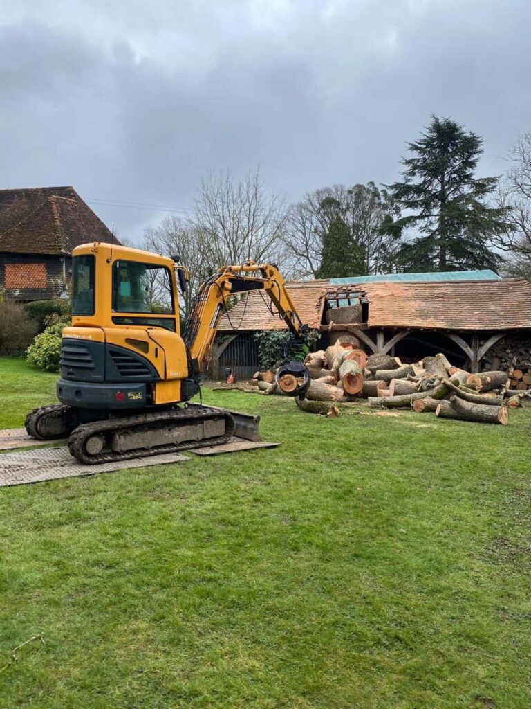 This is a photo of a tree which has grown through the roof of a barn that is being cut down and removed. There is a digger that is removing sections of the tree as well. Wellingborough Tree Surgeons