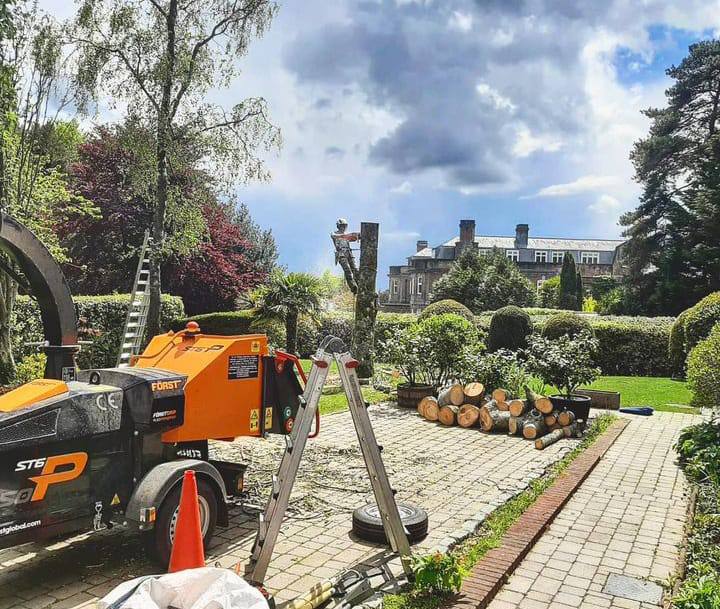 This is a photo of a tree being felled. A tree surgeon is currently removing the last section, the logs are stacked in a pile. Wellingborough Tree Surgeons