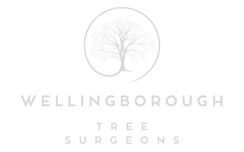 Wellingborough Tree Surgeons